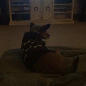 Meet your Posher, Brenda